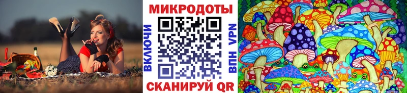 mega маркетплейс закладки площадка какой сайт Псилоцибиновые грибы MAGIC MUSHROOMS Белая Холуница